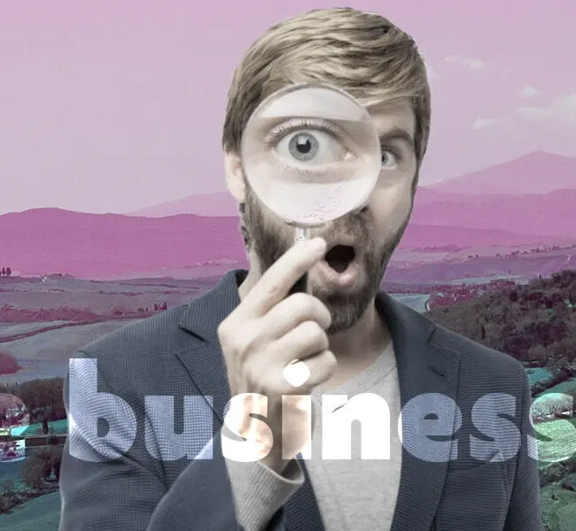 web agency nelle Marche